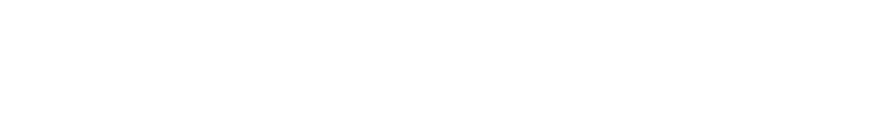 RYODEN